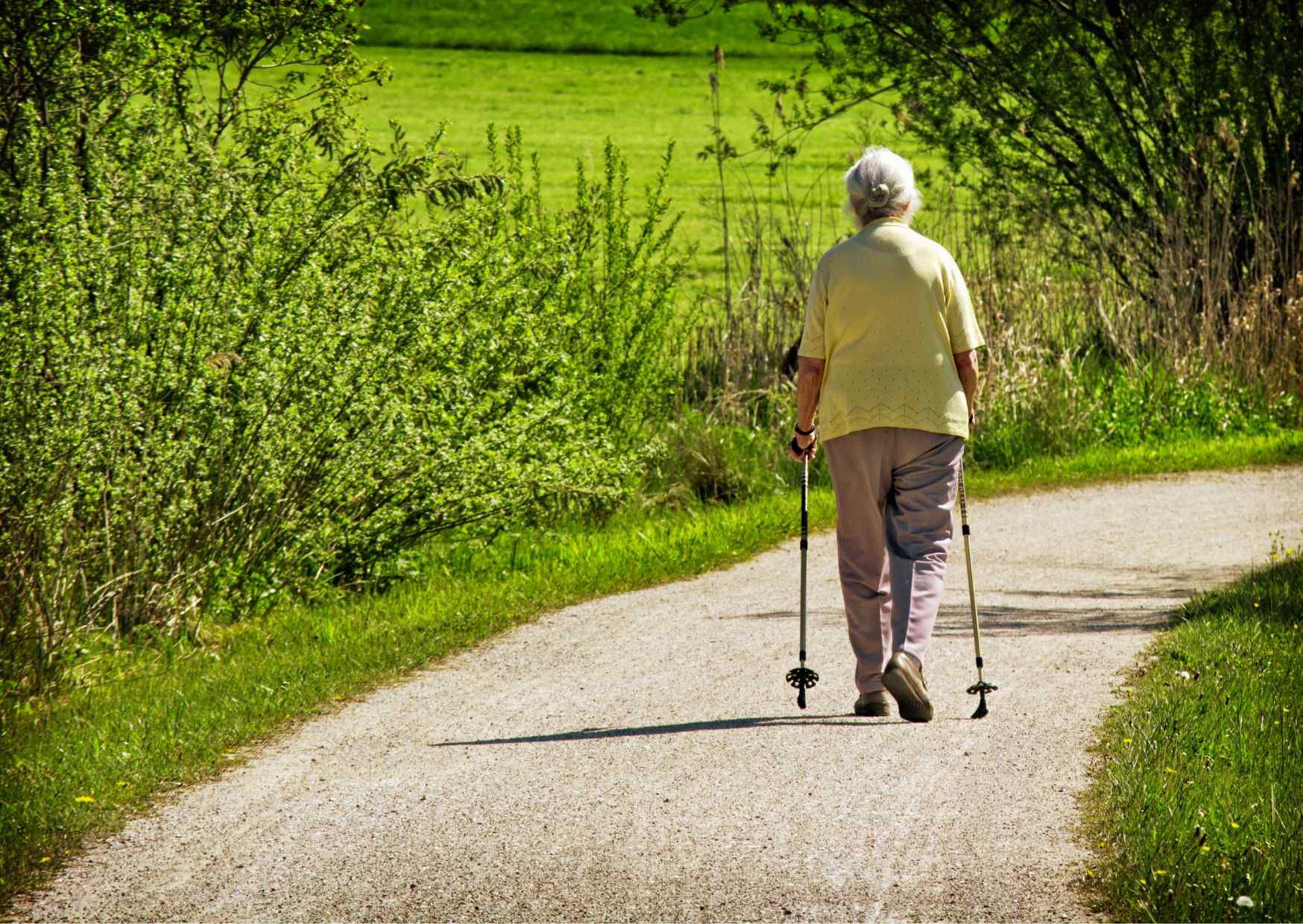 The Rising Concern of Sarcopenia