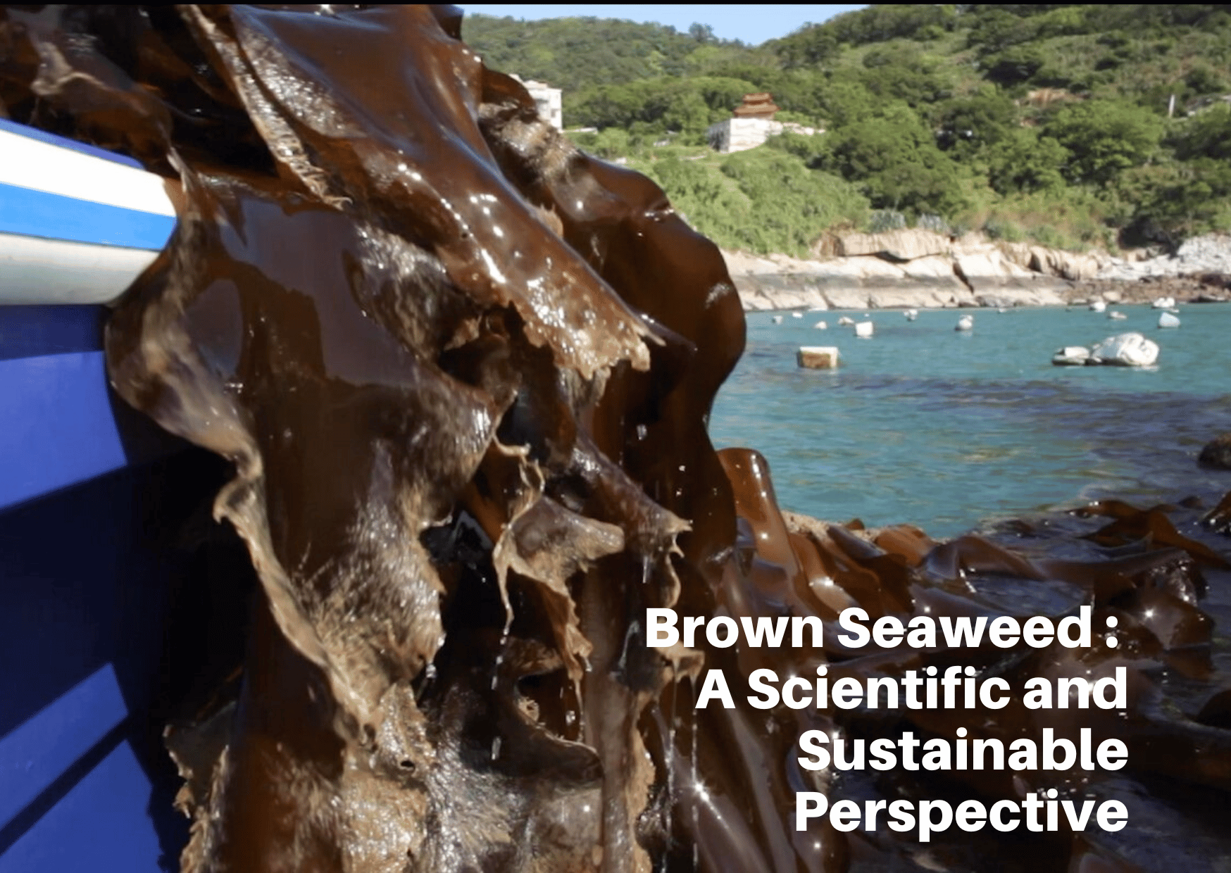 Brown Seaweed: A Scientific and Sustainable Perspective