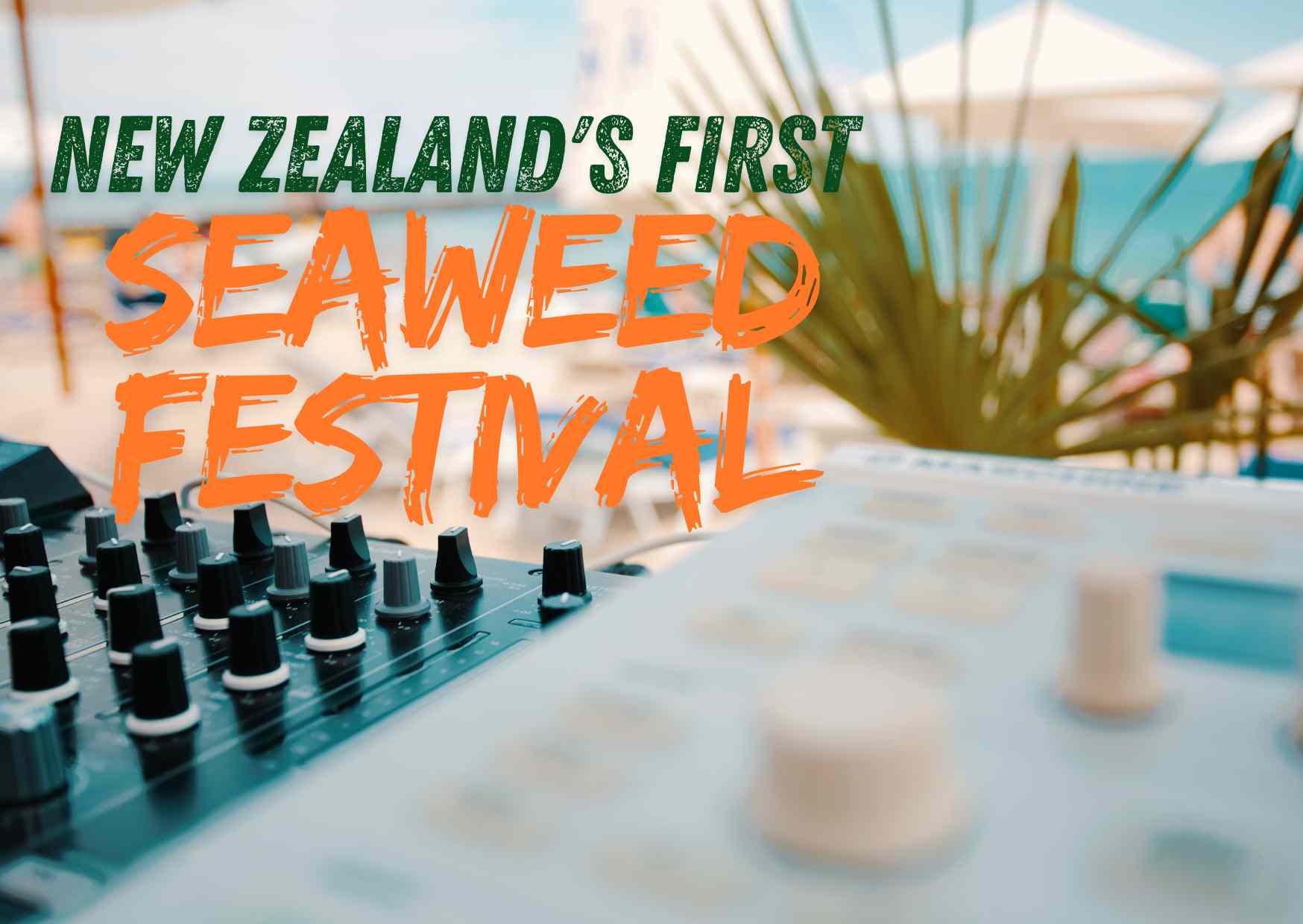 New Zealand’s First Seaweed Festival Set to Make Waves in Wellington